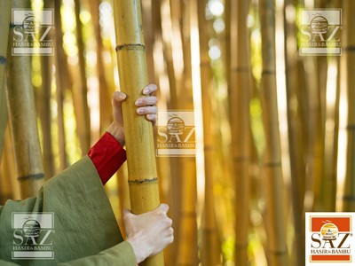 Bambu Nedir 